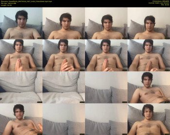 freeallbirds