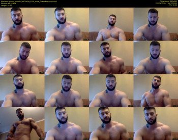 panda_muscle