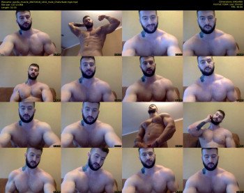 panda_muscle