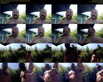 cjbbear