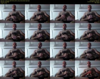 hotaus10
