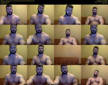 panda_muscle
