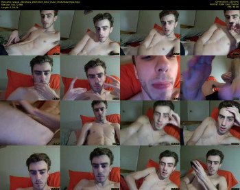 sexual_vibrations