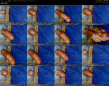 taconightporno