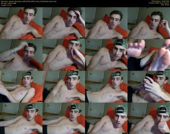 sexual_vibrations