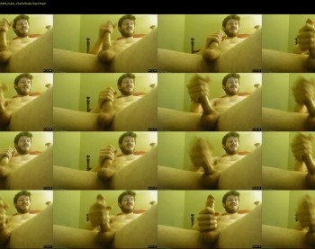 warrenstrips