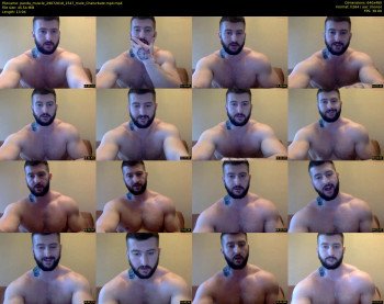 panda_muscle