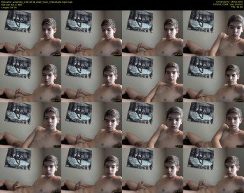 austinshy