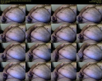 bighairytop