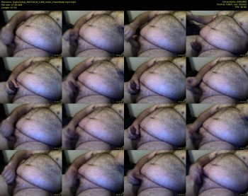 bighairytop
