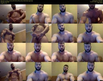 panda_muscle