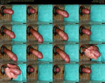 taconightporno