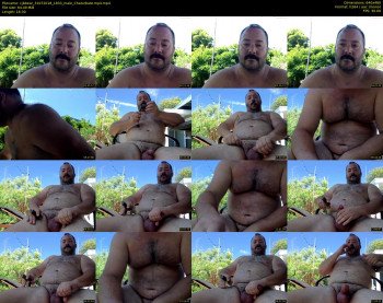 cjbbear