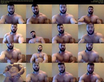 panda_muscle