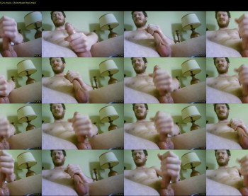 warrenstrips