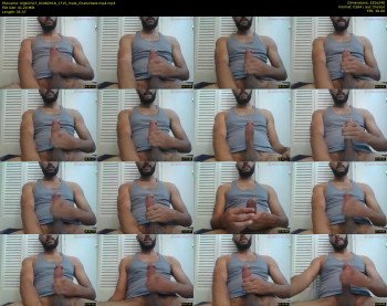 bigbicho7