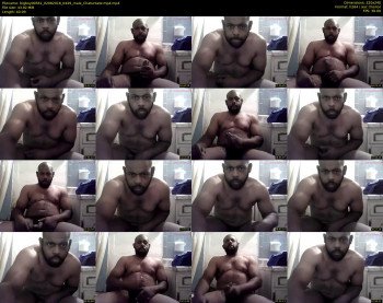 bigboy00561