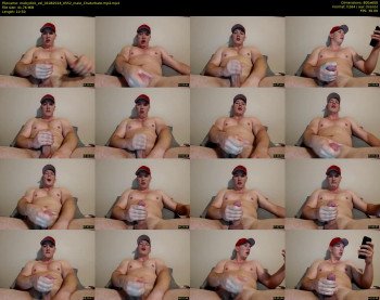 mobydick_xxl