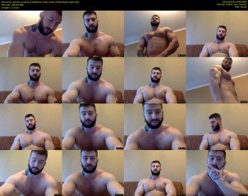 panda_muscle