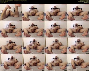 pigfaggot1