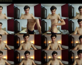 stephanwolfx