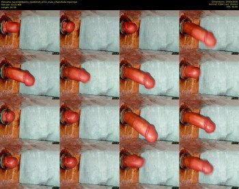 taconightporno