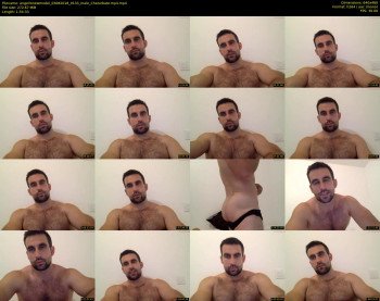 angellonewmodel
