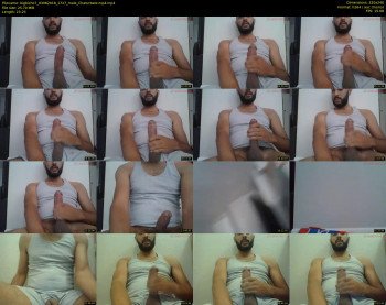 bigbicho7