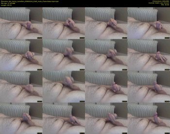 the_horny_canadian