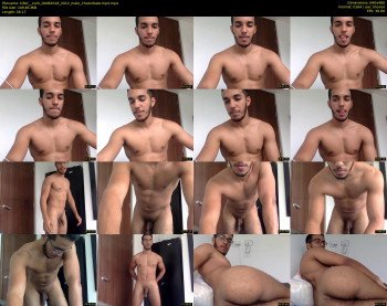 killer__cock