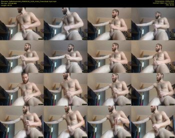 lettheloverule2