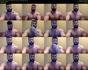 panda_muscle