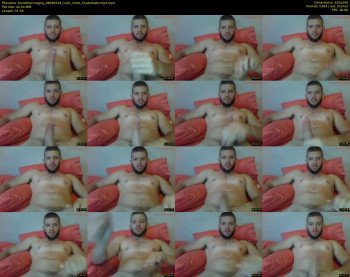 borednormalguy