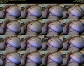 bighairytop