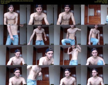 papimodels