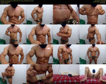 promuscles4u