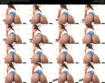 ExoticPlayX