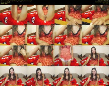 FoxyPlaymer