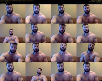 panda_muscle