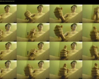 warrenstrips