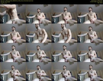 lettheloverule2