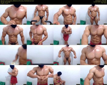 promuscles4u