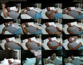 socal_kingcock