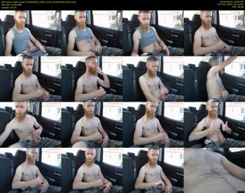 alpha_beard