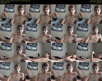 austinshy