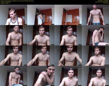 papimodels
