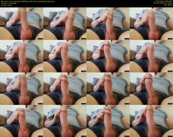 moe_moe_29