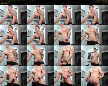 stiven_gregg