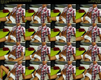inchcock_sex
