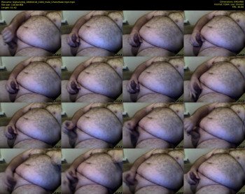 bighairytop